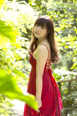 民兵葛二蛋电视剧全集在线观看